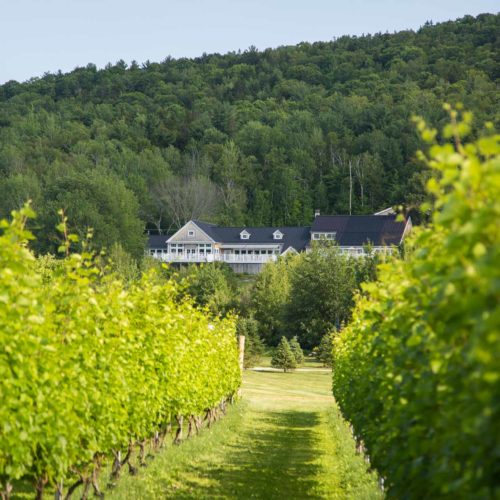 Visit Cellardoor Winery