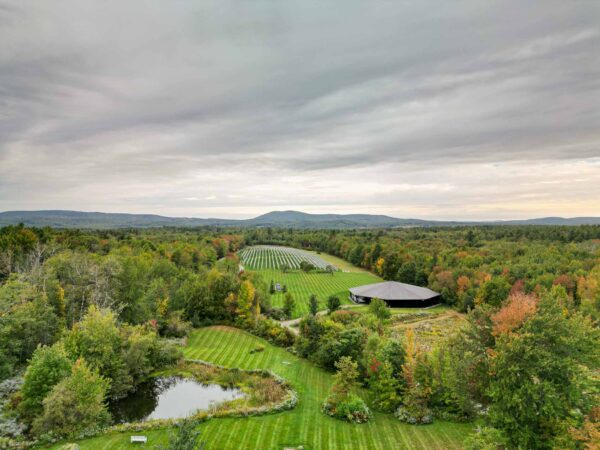 Cellardoor Winery’s record breaking 2024 L'Acadie Blanc Harvest yields 12 tons of grapes.