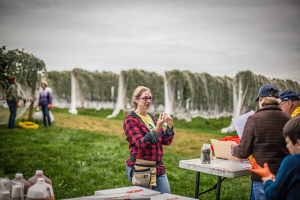 Winemaker CC Peet welcomes volunteers to Cellardoor Winery's record breaking 2024 L'Acadie Blanc Harvest